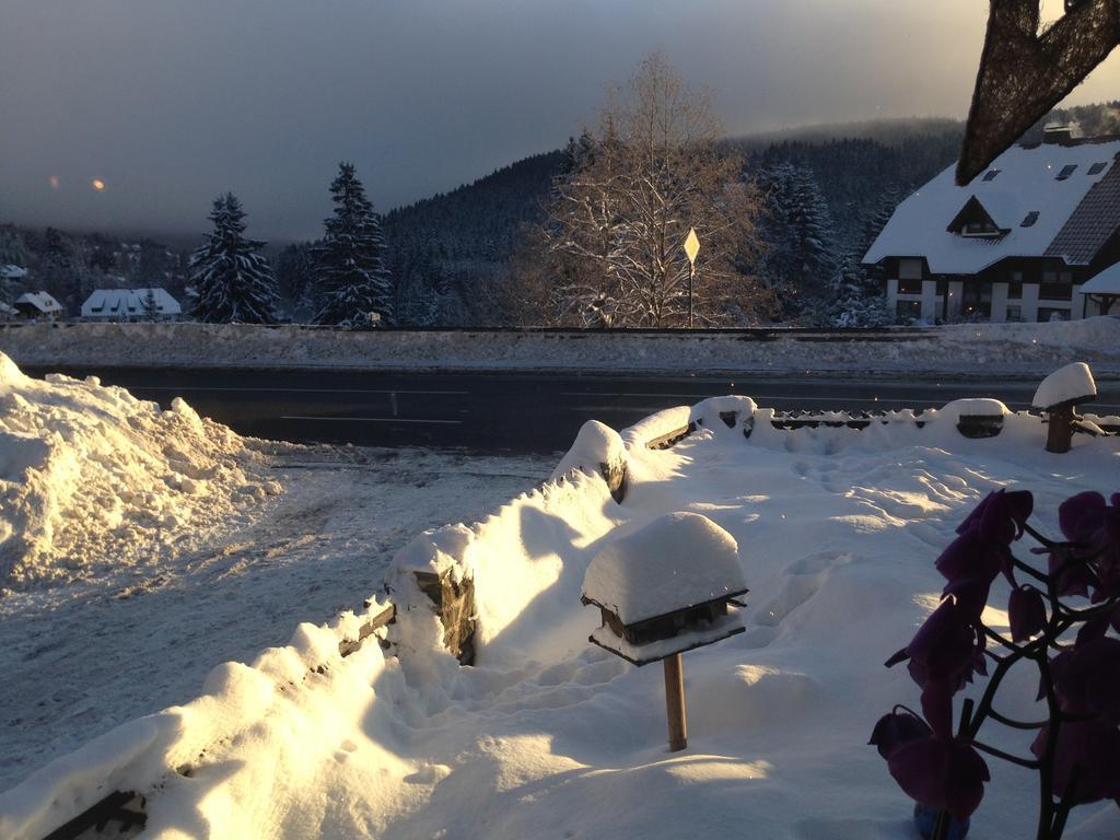 Mini-hôtel Pop-up Stuub Feldberg *